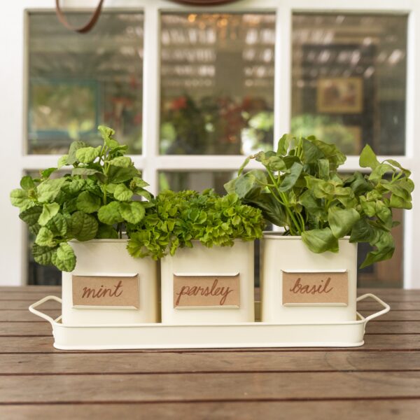 Planter